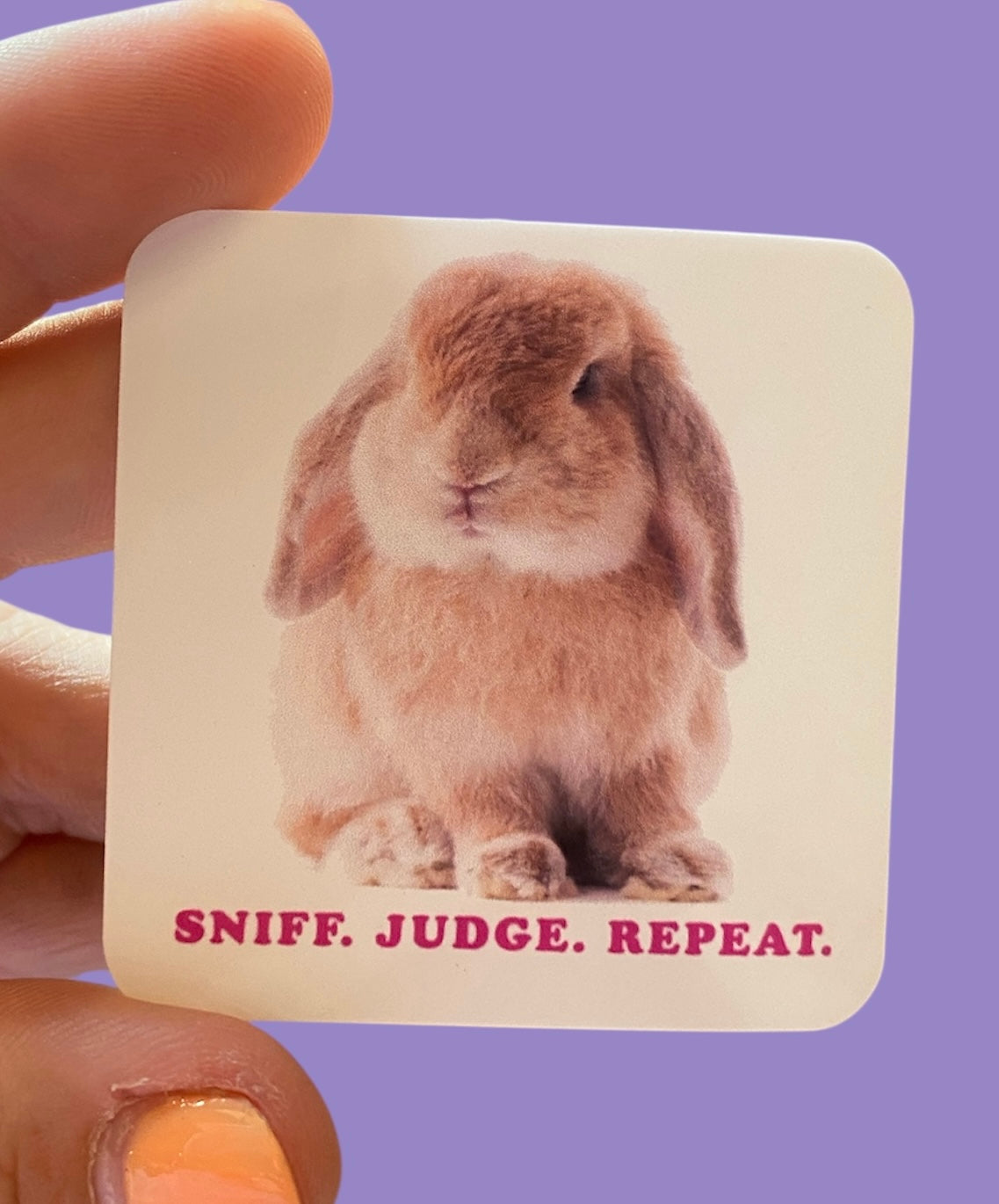 Sniff.Judge.Repeat. Sticker