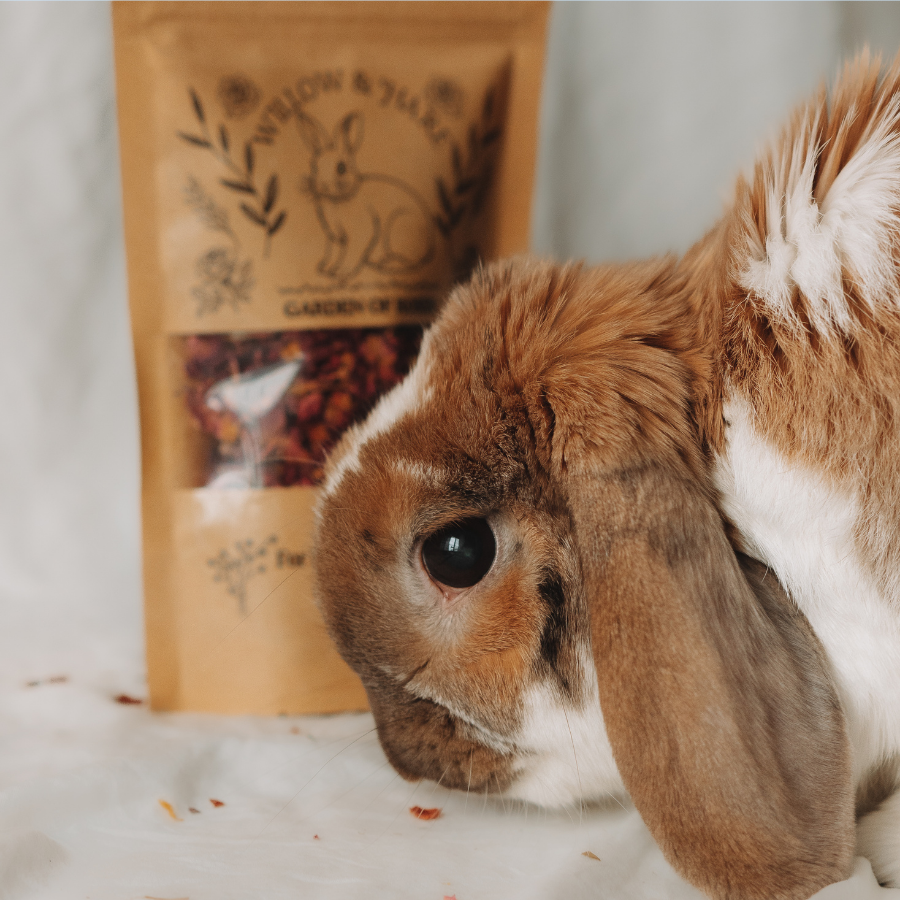 Complete Forage Collection 3-Pack