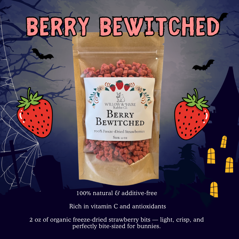 Halloween Bunny Treat Box!