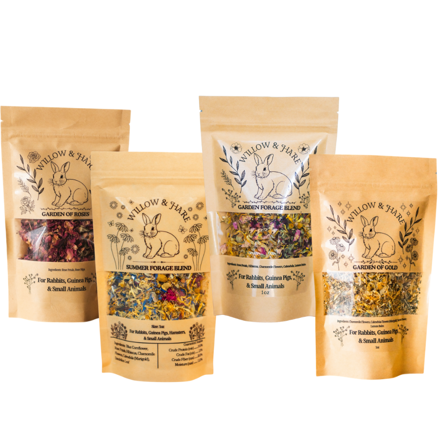 4-Pack Rabbit Forage Mix Collection