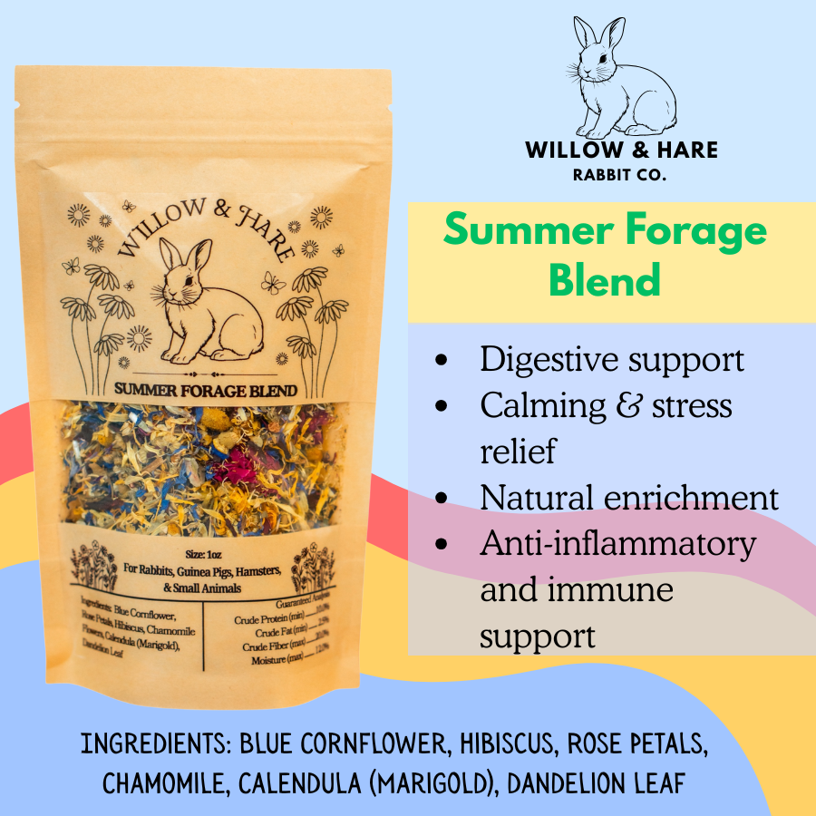 4-Pack Rabbit Forage Mix Collection