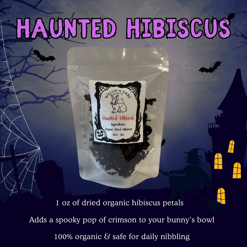 Halloween Bunny Treat Box!