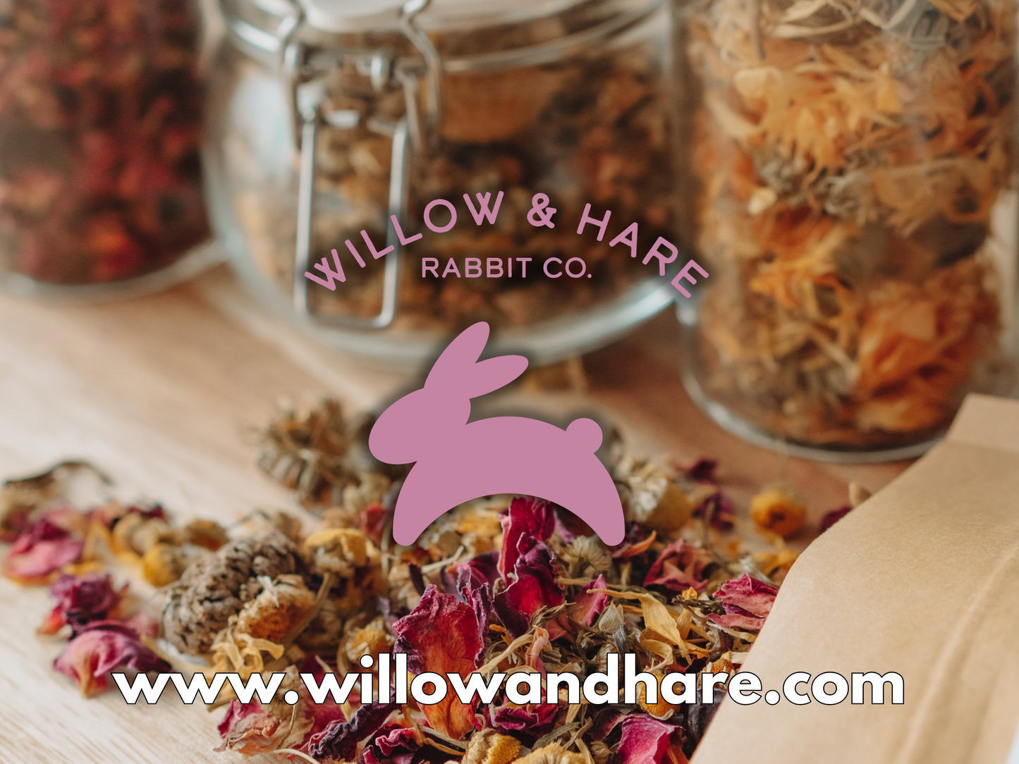 4-Pack Bunny Forage Mix Treat Collection Variety Pack