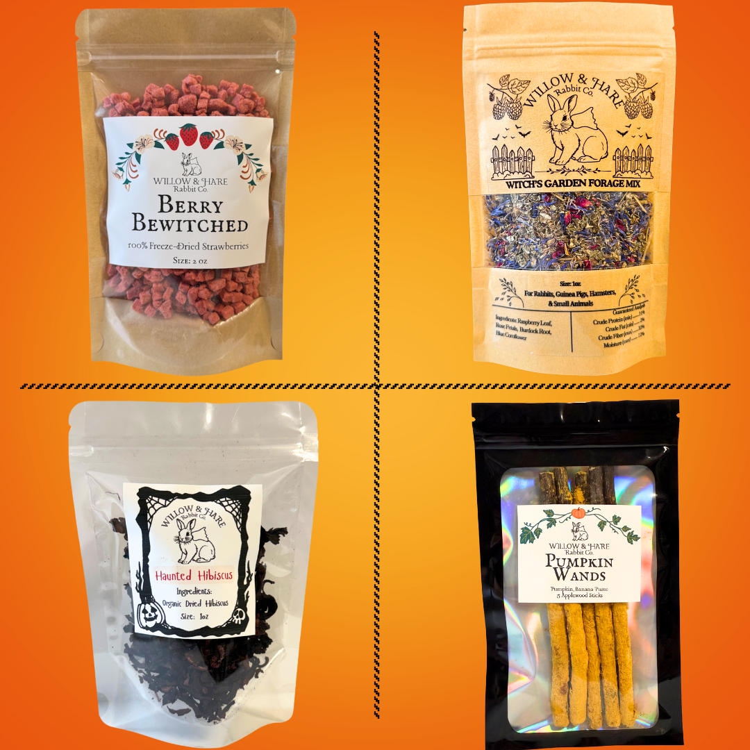 Halloween Bunny Treat Box!