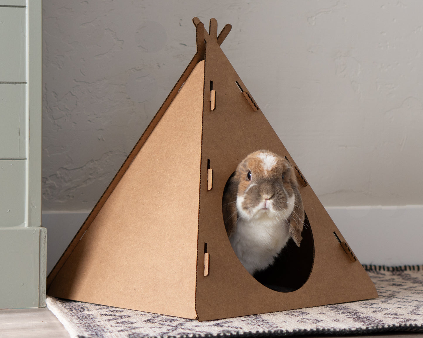 Bunny Tent Hidey House