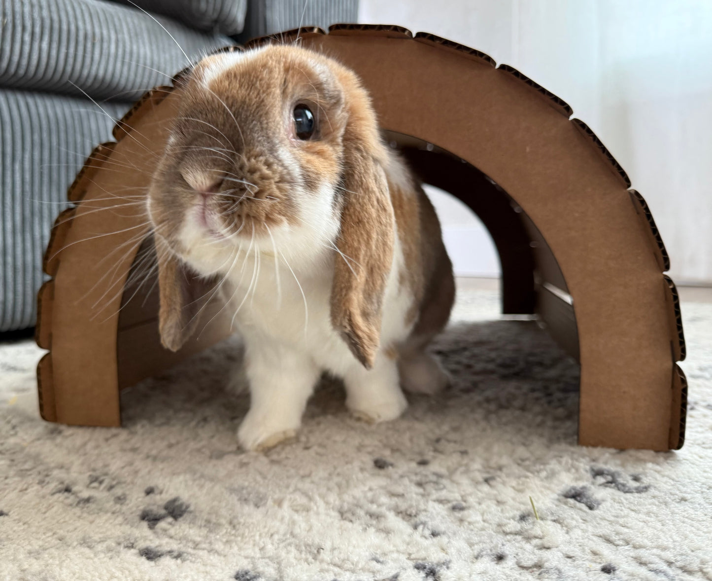 Hidey Tunnel