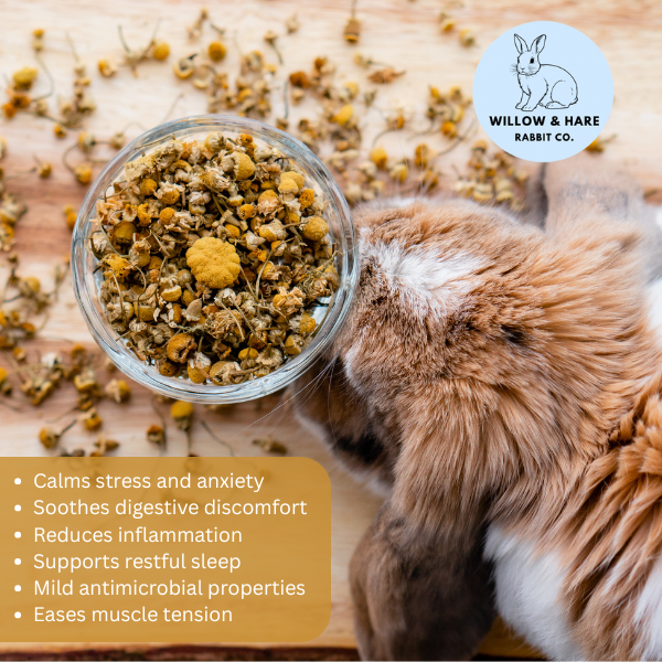 Chamomile Flowers