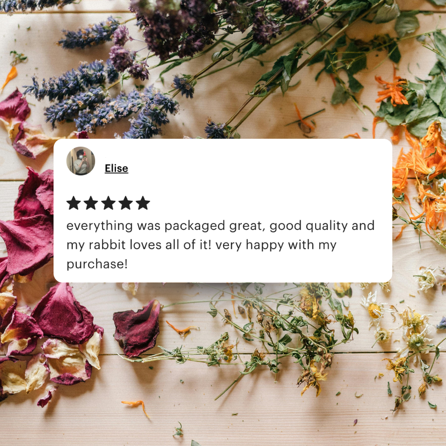 Complete Forage Collection 3-Pack