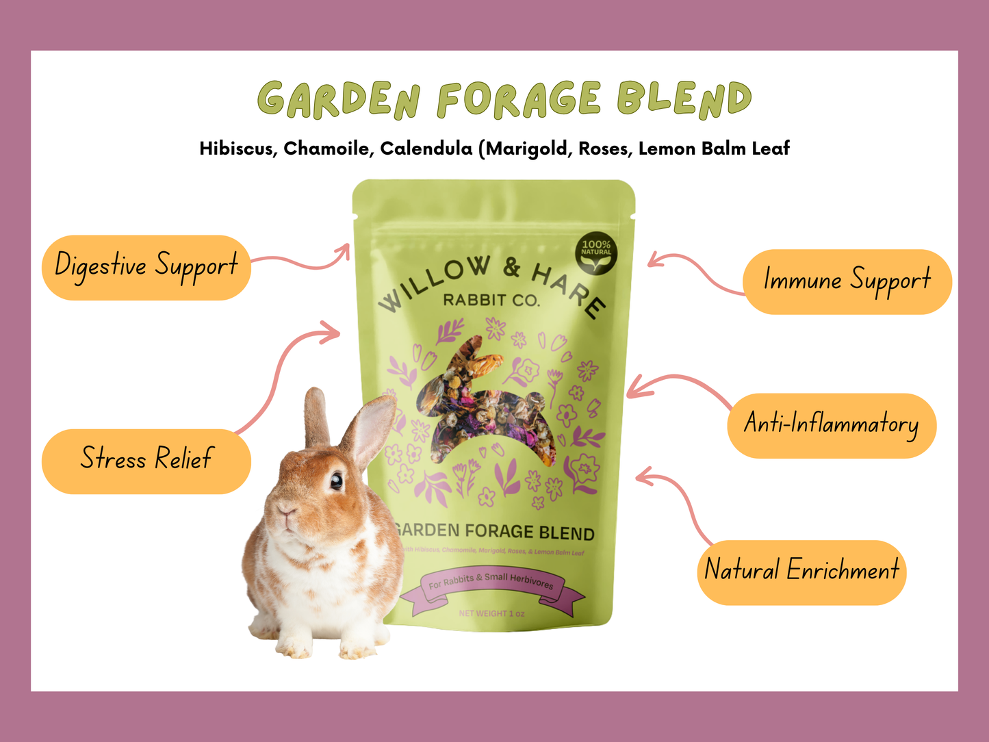 3-Pack Bunny Forage Mix Treat Variety Pack