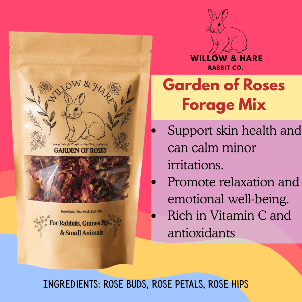 Complete Forage Collection 3-Pack (Rescue Edition)
