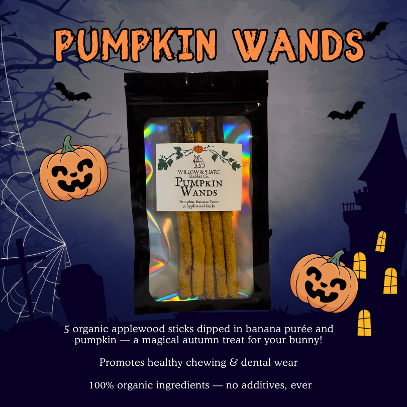 Halloween Bunny Treat Box!