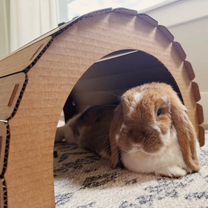 Hidey Tunnel