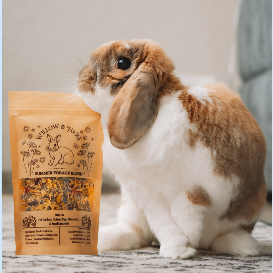 4-Pack Rabbit Forage Mix Collection