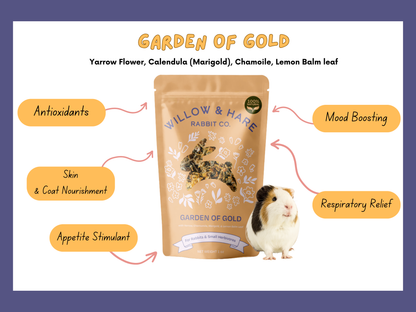 3-Pack Bunny Forage Mix Treat Variety Pack