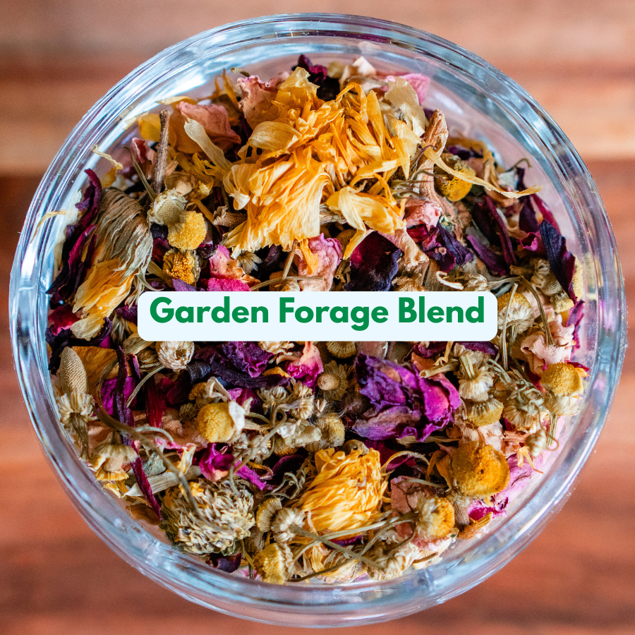 Complete Forage Collection 3-Pack