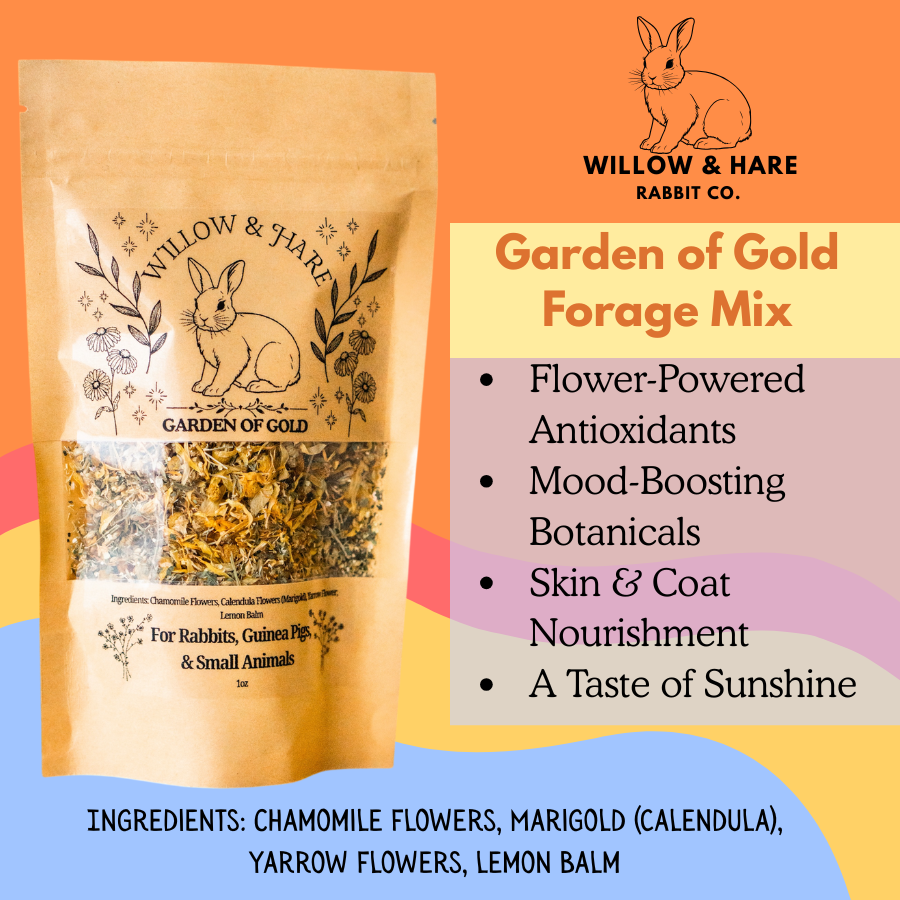 Complete Forage Collection 3-Pack