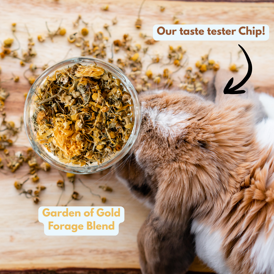 Complete Forage Collection 3-Pack