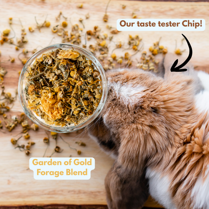 3-Pack Bunny Forage Mix Treat Variety Pack