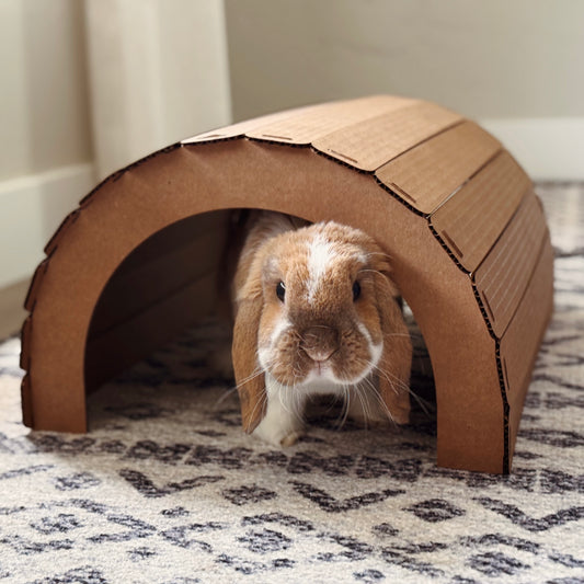 Hidey Tunnel