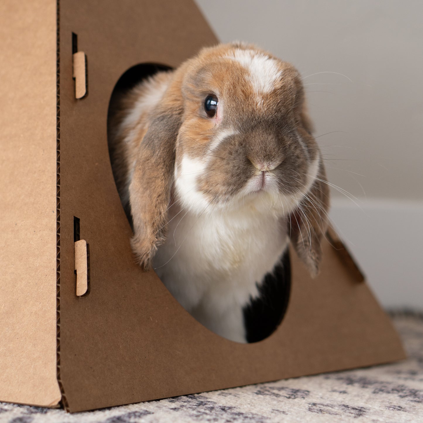 Bunny Tent Hidey House