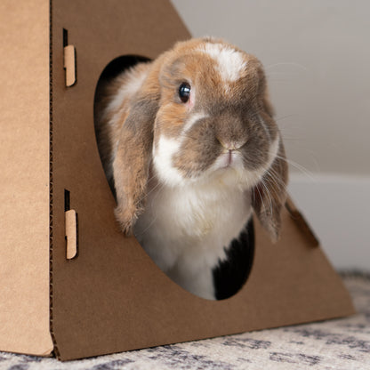 Bunny Tent Hidey House