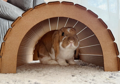 Hidey Tunnel