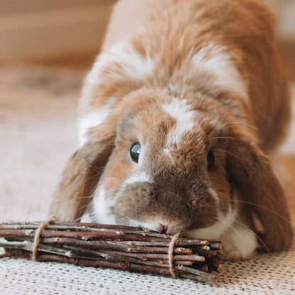 2-Pack Apple Wood Stick Bundles Chew Toy