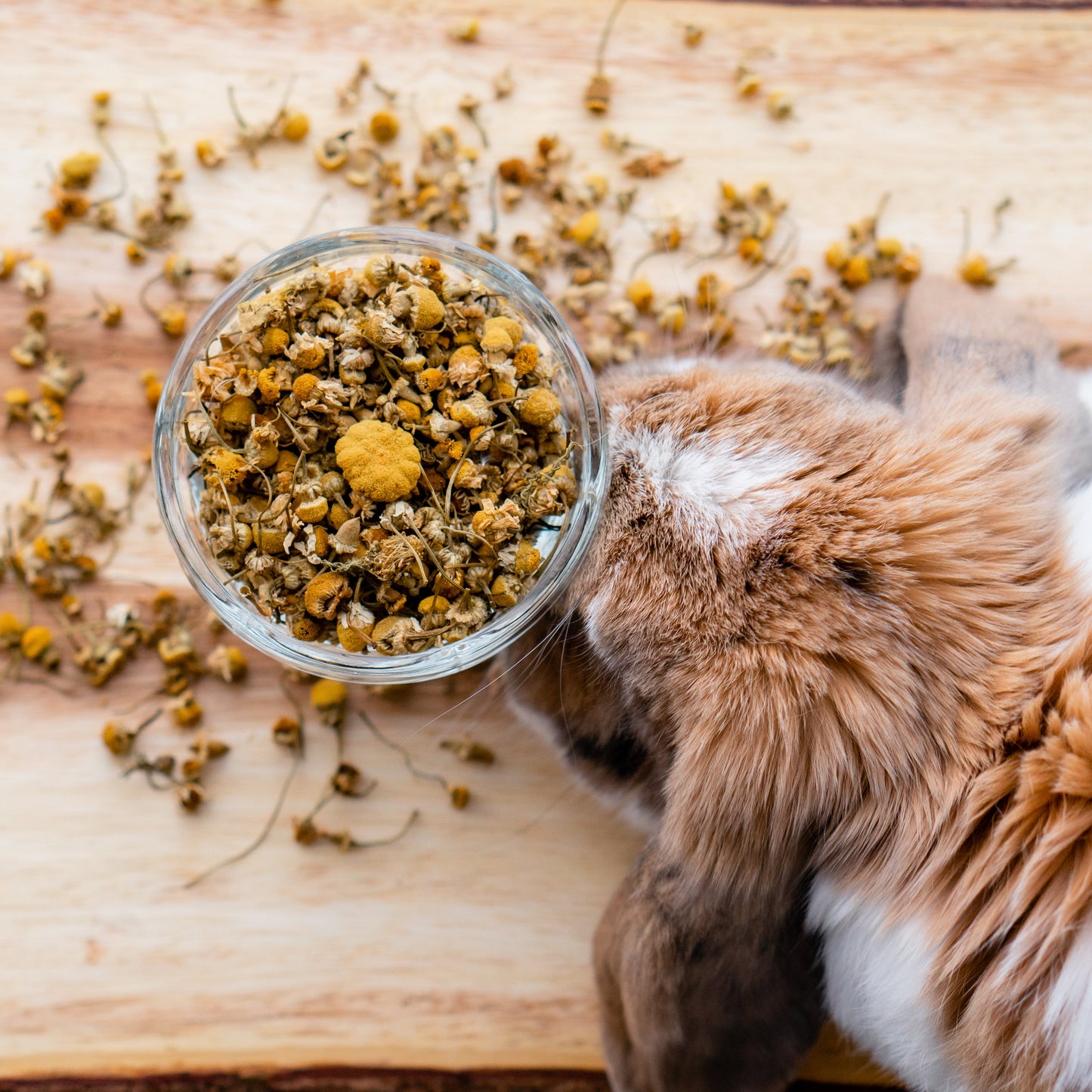 Chamomile Flowers