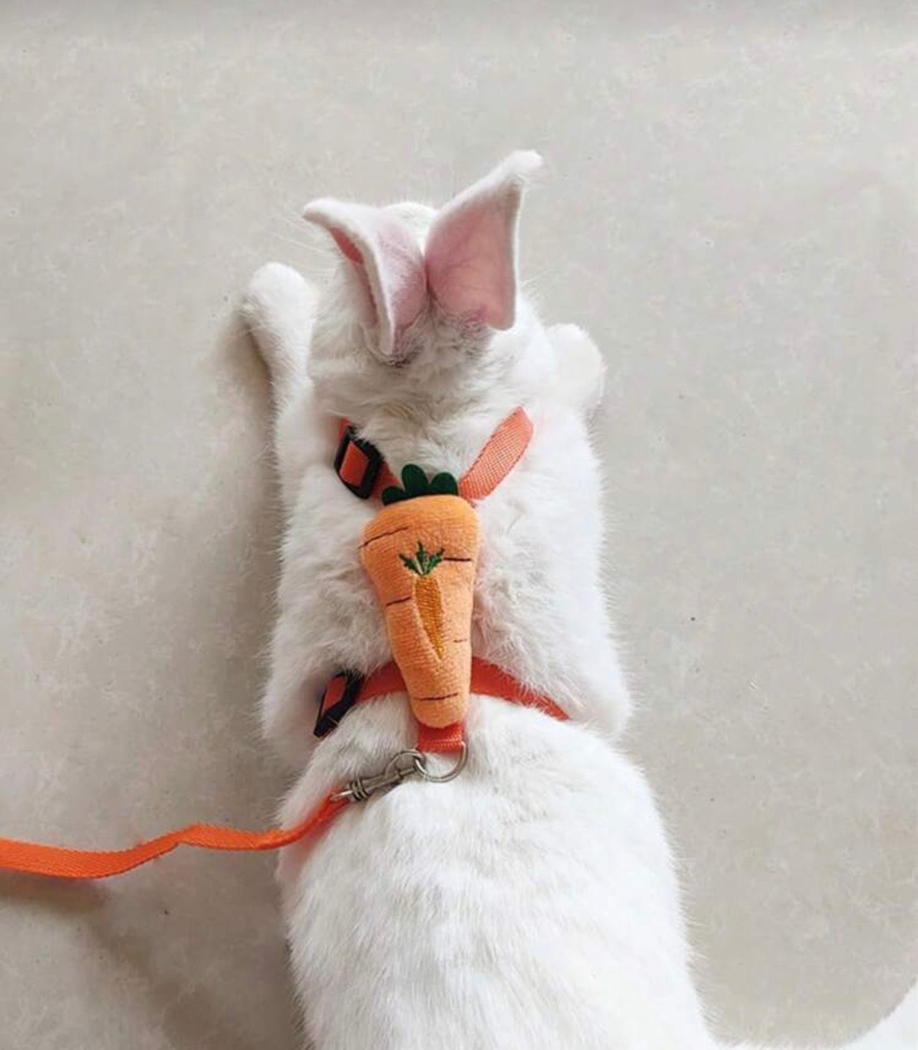 Adjustable Bunny Rabbit Harness in Strawberry & Carrot
