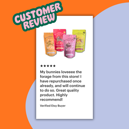 4-Pack Bunny Forage Mix Treat Collection Variety Pack