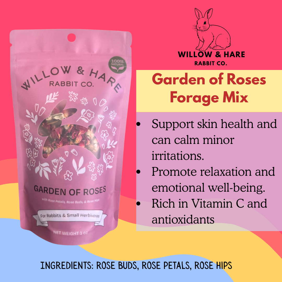 4-Pack Rabbit Forage Mix Collection