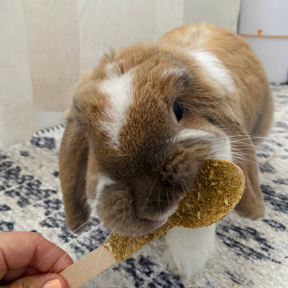 Hoppuccino Barista Set