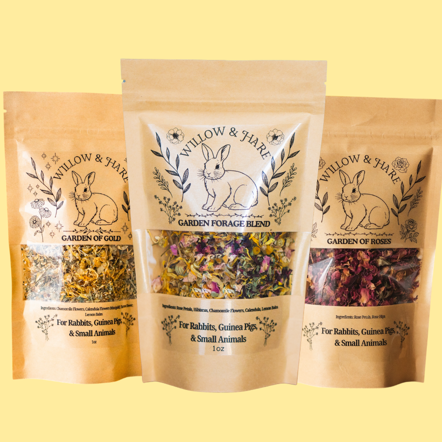 Complete Forage Collection 3-Pack