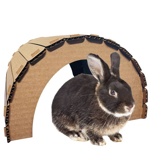 PRE-ORDER - Cardboard Tunnel
